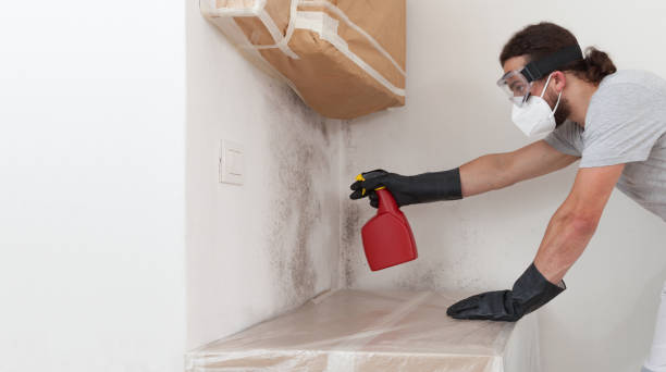 Professional Black Mold Remediation technician working in Helmetta, NJ