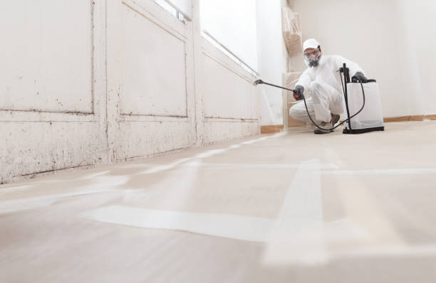 24/7 Emergency Black Mold Remediation experts in Helmetta, NJ
