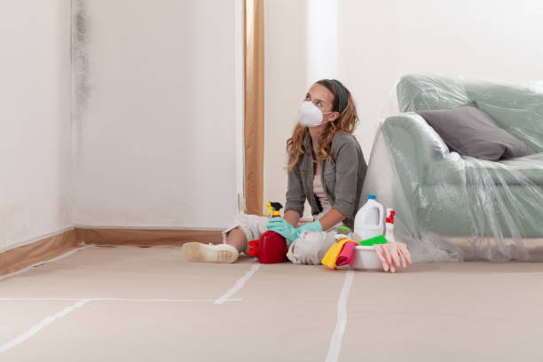 Reliable Black Mold Remediation contractor in Helmetta, NJ by Car Mold Remediation
